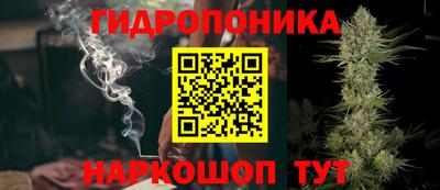 гидра Гагарин