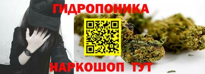 гидра Гагарин